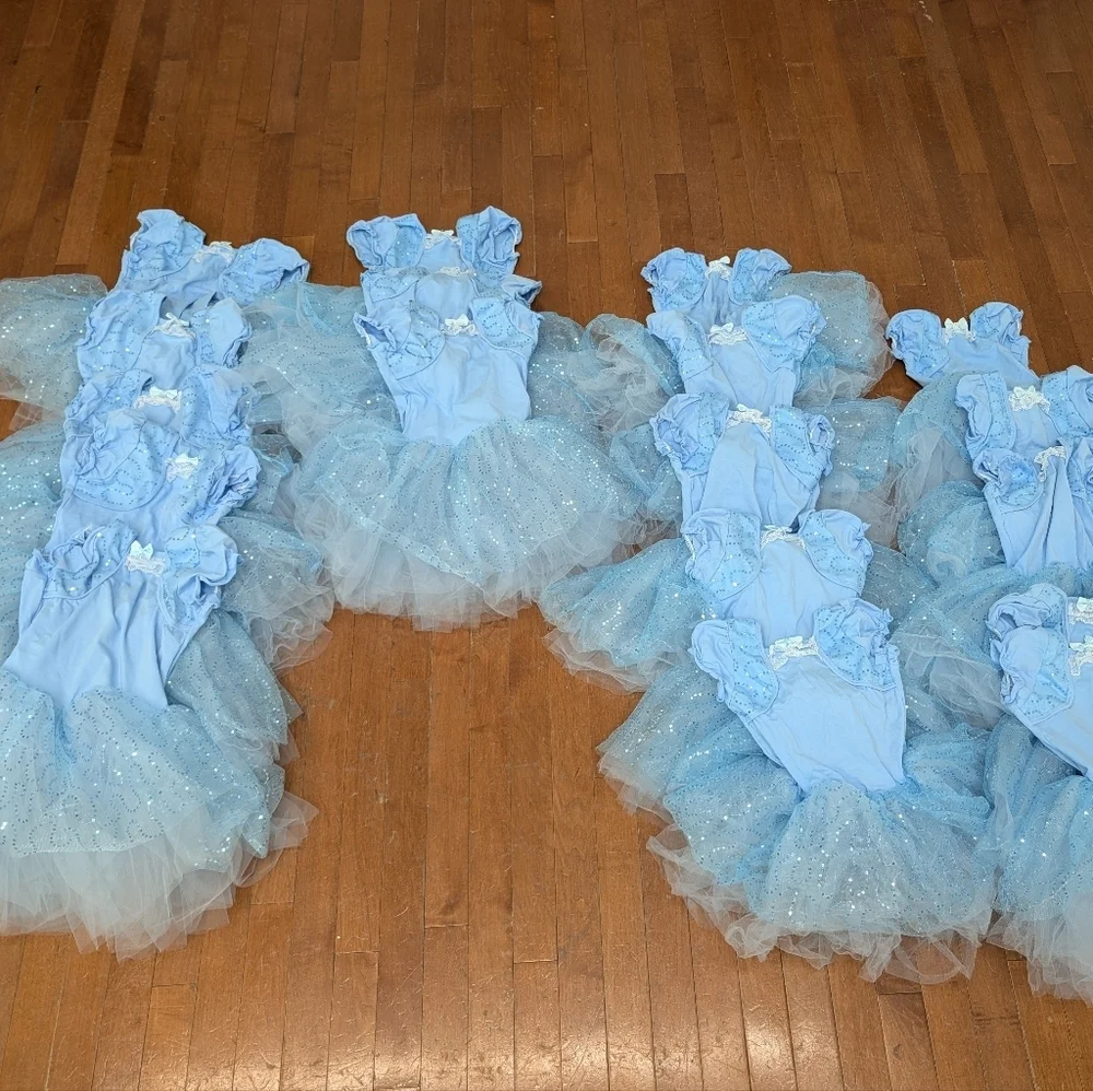 La Petite Ballerina Blue Puff Short Sleeve Tutu Ballet Dance Costume Lot Of 18